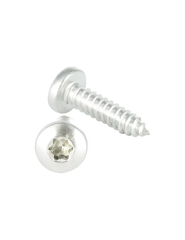 1 x Tornillo chapa cabeza cilíndrica ancha cabeza cilíndrica abombada ancha TCBL 5.5X60 Inoxidable A2 TORX T25 Liquidación