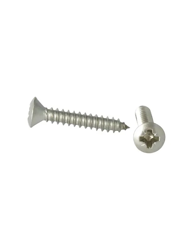 1 x Tornillo chapa Inoxidable A2 cabeza fresada abombada TFB Pozi 3.9X38 Premium