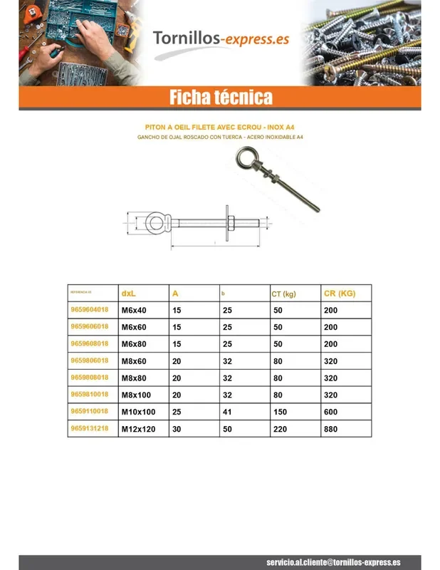 Certificado 1 x Tornillo de ojo con ojo roscado M10X100 con Tuerca Inoxidable A4